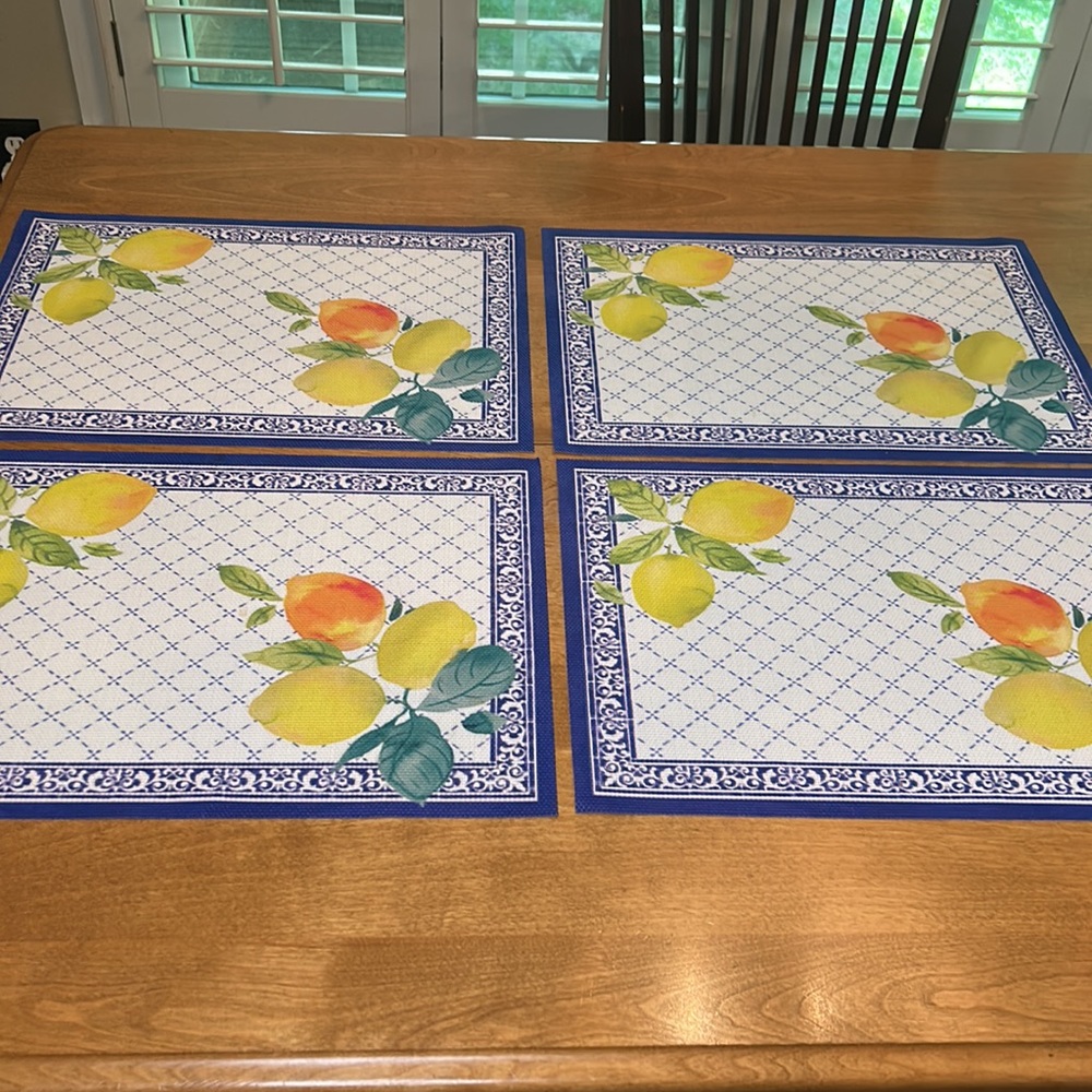 Polyvinyl Citrus Fruits Placemats (4)